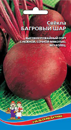 Свекла_Багровая_2_г._Уральский Дачник