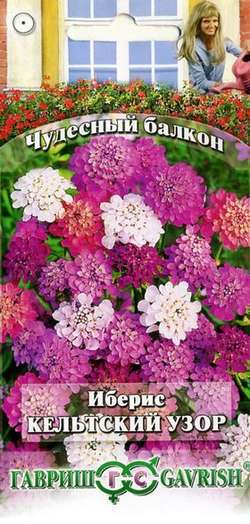 Иберис_Кельтский узор см (Чудесный балкон)_0,1_г._Гавриш