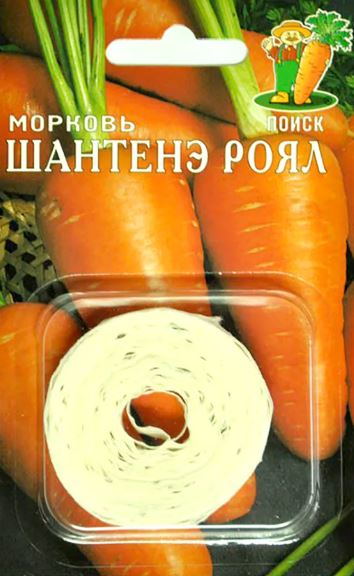 Морковь_лента_Шантенэ Роял_0,04_м._Поиск