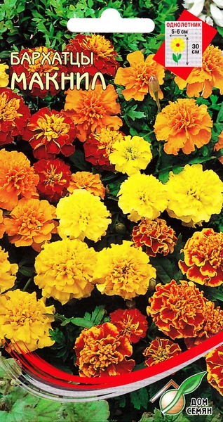 Бархатцы (тагетис)_Макнил см_80_шт._Дом Семян С-П