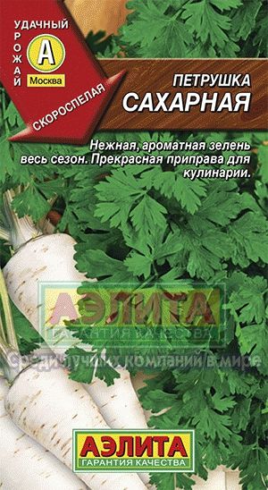 Петрушка_Сахарная (корневая)_2_г._Аэлита