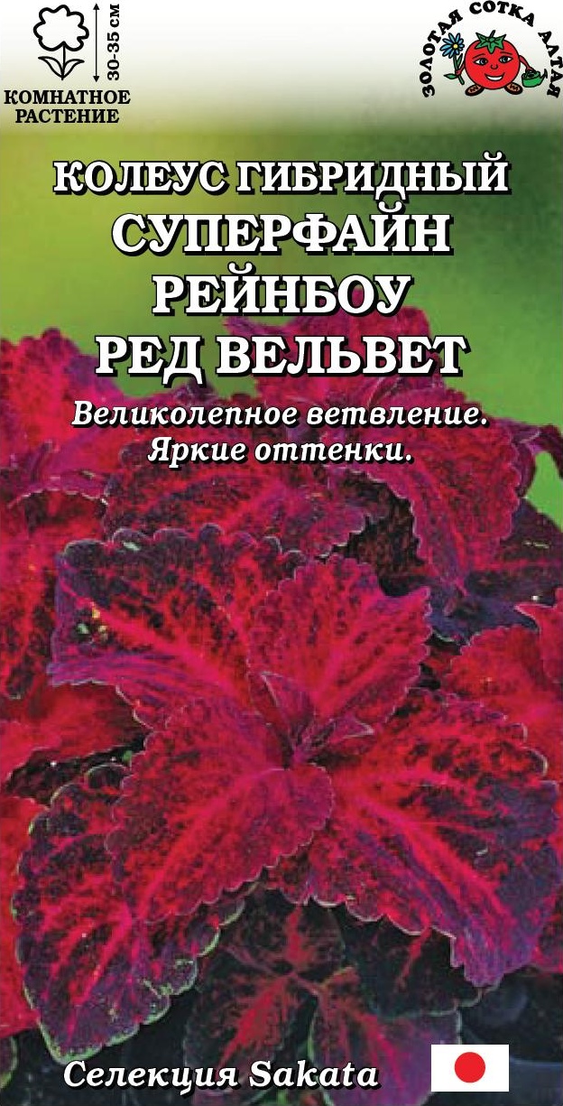 Колеус_Суперфайн Рейнбоу Ред Вельвет_10_шт._Золотая Сотка Алтая