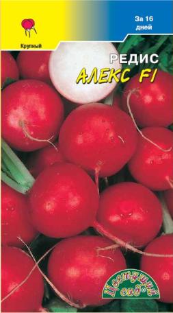 Редис_Алекс F1 16дн_1_г._Цветущий Сад