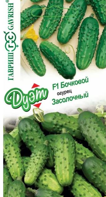 Огурец_Дуэт Бочковой + Засолочный_0,04_г._Гавриш