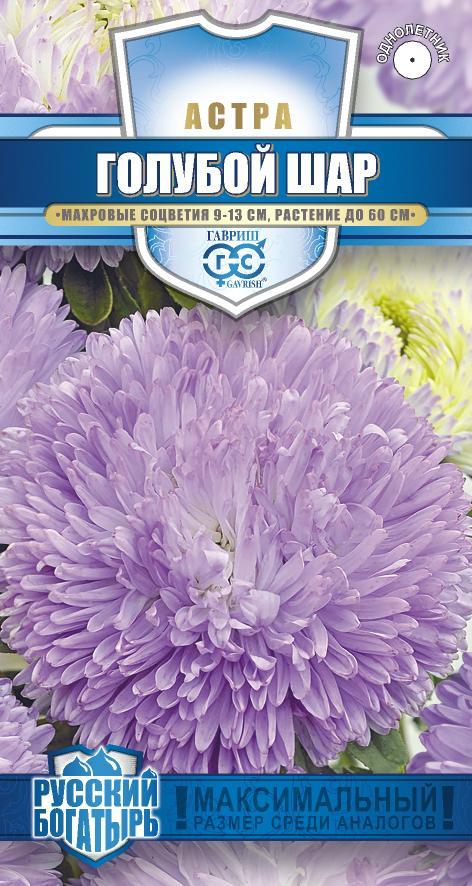 Астра_Голубой шар (пионовидная) (Русский богатырь)_0,1_г._Гавриш