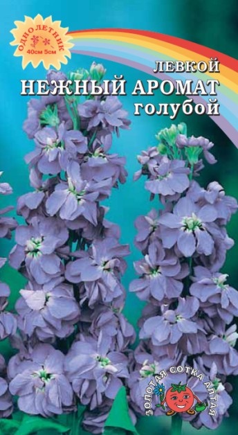 Левкой (маттиола)_Голубой Нежный Аромат_0,1_г._Золотая Сотка Алтая