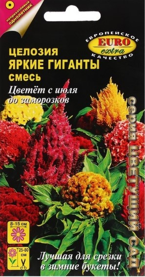 Целозия_Яркие гиганты см (гребенчатая и перистая)_0,2_г._Аэлита Э
