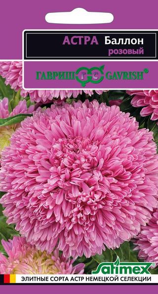 Астра_Баллон Розовый (пионовидная)_0,1_г._Гавриш