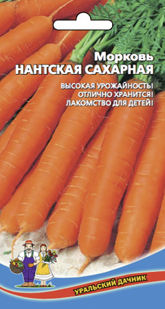 Морковь_Нантская сахарная_2_г._Уральский Дачник