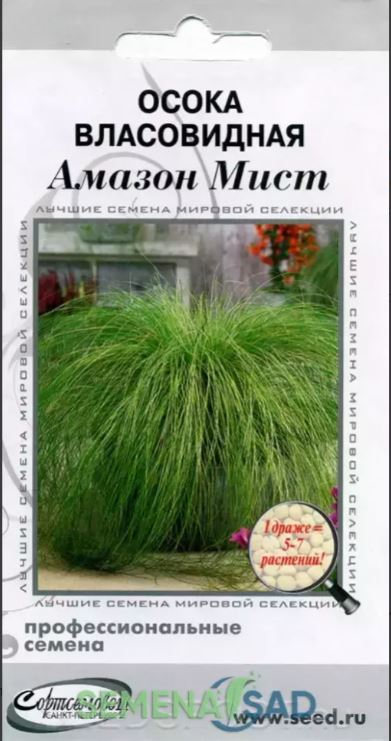 Осока_власовидная Амазон мист (злак)_3_шт._Дом Семян С-П