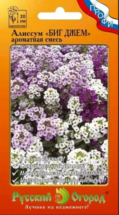 Алиссум (лобулярия)_Биг Джем (ароматная см)_30_шт._НК