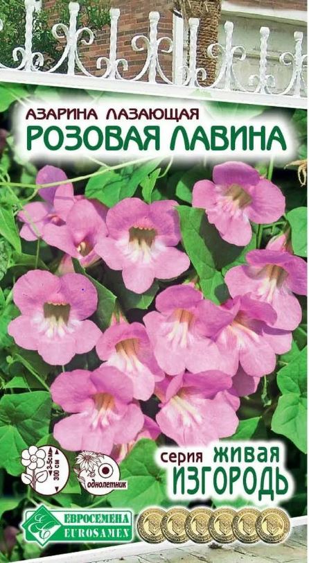 Азарина_Розовая лавина_5_шт._Евросемена
