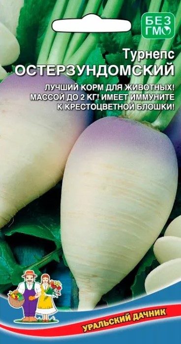 Турнепс_Остерзундомский_0,3_г._Уральский Дачник