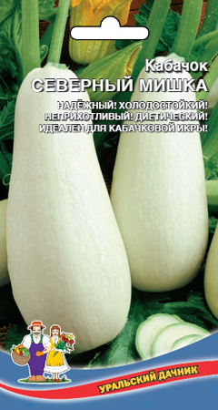 Кабачок_Северный Мишка_8_шт._Уральский Дачник