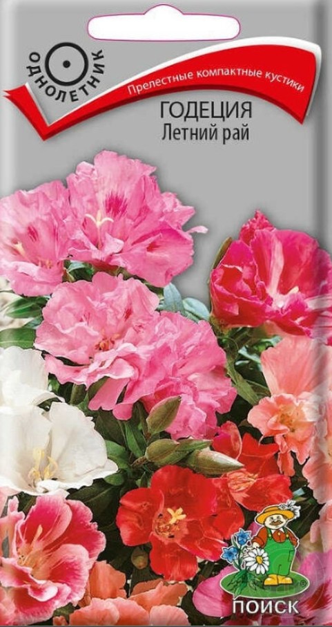 Годеция_Летний Рай_0,25_г._Поиск
