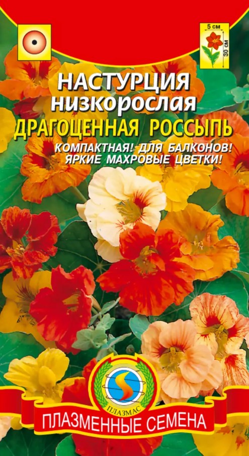 Настурция_Низкорослая махр см  Б/П_1_г._Плазменные семена