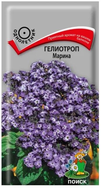Гелиотроп_Марина_0_г._Поиск