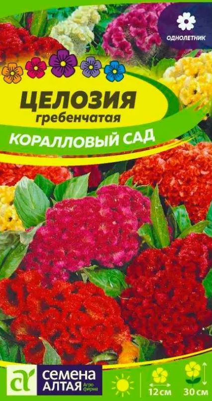 Целозия_Коралловый сад см (гребенчатая)_0,2_г._Семена Алтая