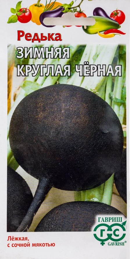Редька_Зимняя кругл черная  Б/П_1_г._Гавриш