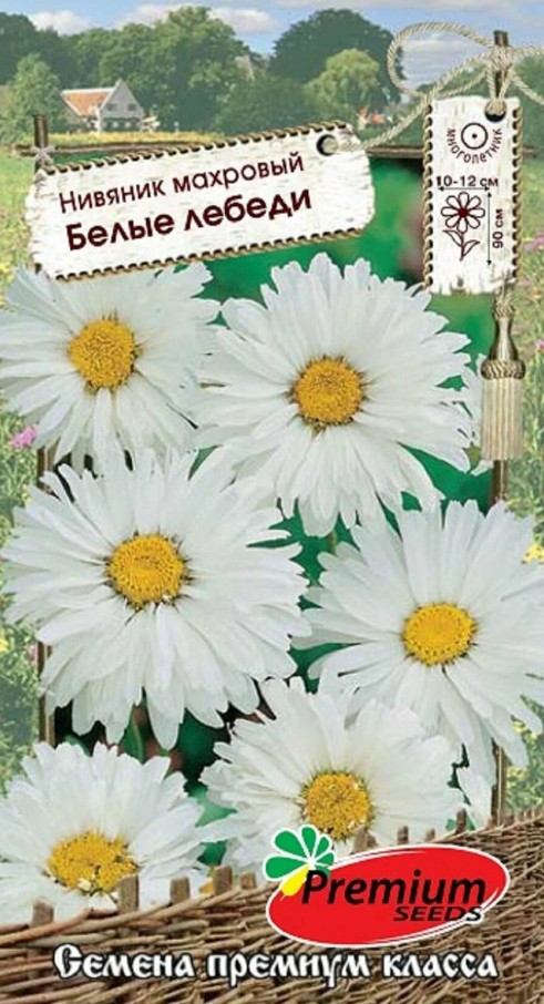 Нивяник_махр Белые лебеди_0,1_г._Премиум Сидс