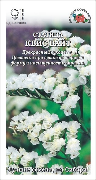 Статица (лимониум)_Квис Вайт_10_шт._Золотая Сотка Алтая