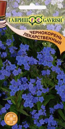 Чернокорень_Лекарственный_5_шт._Гавриш