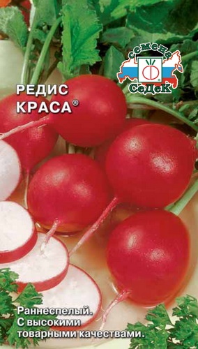 Редис_Краса_2_г._Седек