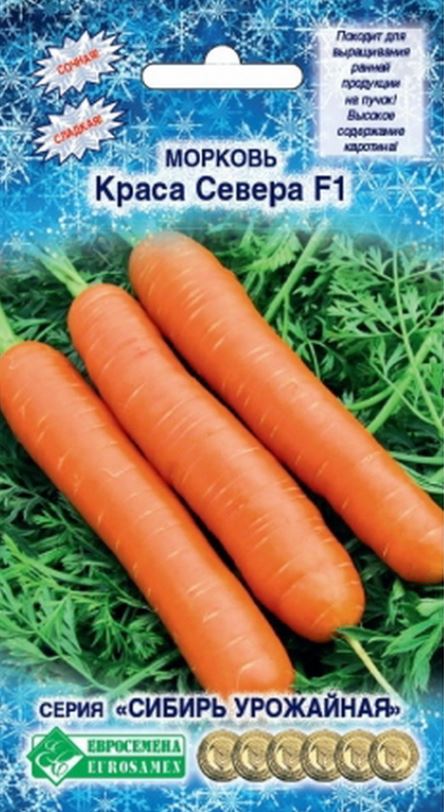 Морковь_Краса Севера F1 (Сибирь Урожайная)_0,04_г._ЕВРОСЕМЕНА