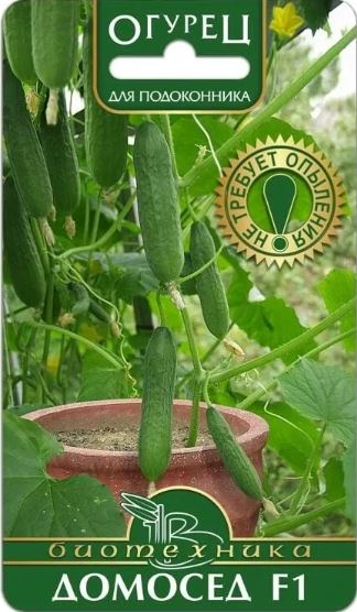 Огурец_Домосед F1_0,04_шт._Биотехника