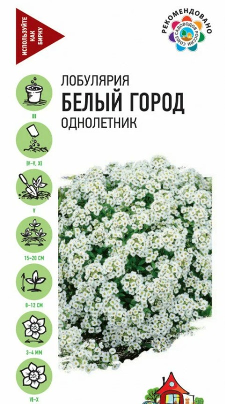 Алиссум (лобулярия)_Белый Город (морская) Уд. с._0,05_г._Гавриш