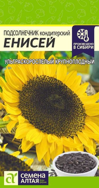 Подсолнечник_Енисей_10_г._Семена Алтая