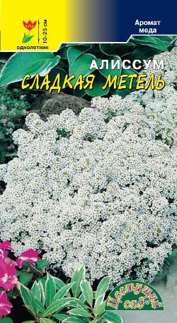 Алиссум (лобулярия)_Сладкая метель_0,1_г._Цветущий Сад