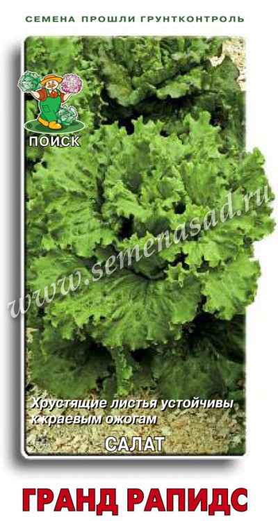 Салат_Гранд рапидс (п/кочан)_1_г._Поиск