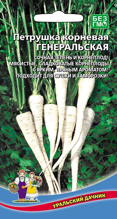 Петрушка_Генеральская (корневая)_2_г._Уральский Дачник