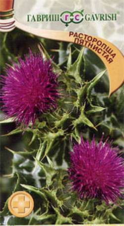 Расторопша_пятнистая Панацея_1_г._Гавриш