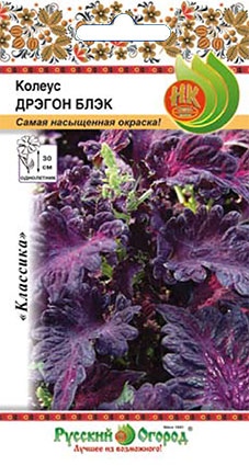 Колеус_Дрэгон блэк_10_шт._НК