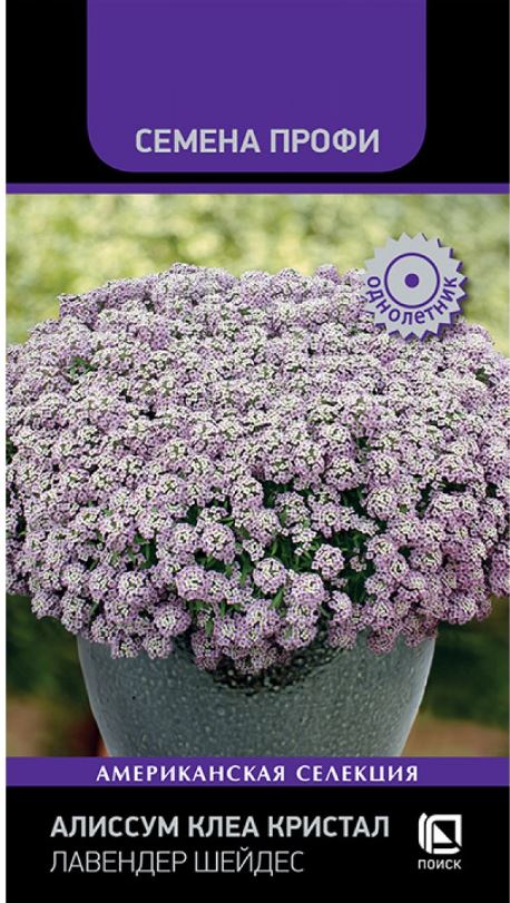 Алиссум (лобулярия)_Лавендер Шейдес (профи) (амп)_20_шт._Поиск
