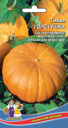 Тыква_Веселая Толстушка_6_шт._Уральский Дачник