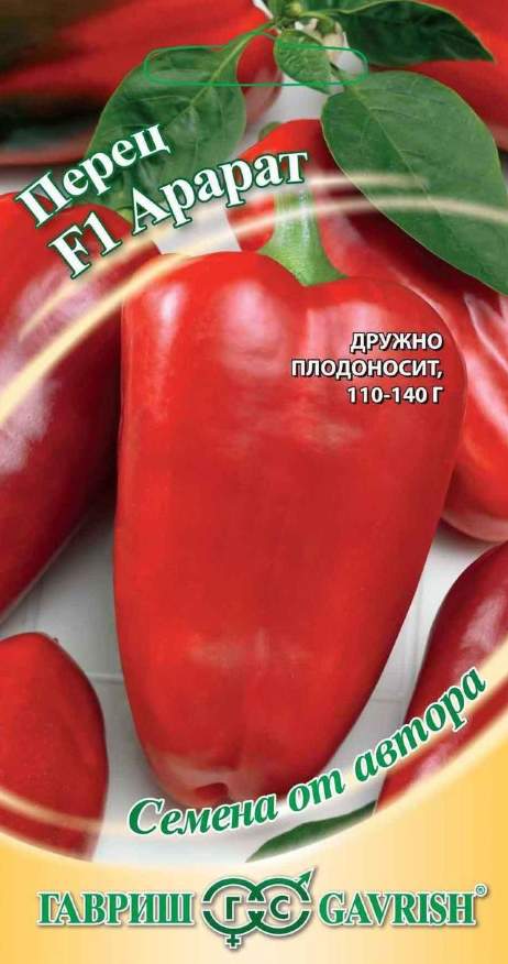 Георгин_Черный принц (горшечная) см_0,2_г._Аэлита Э