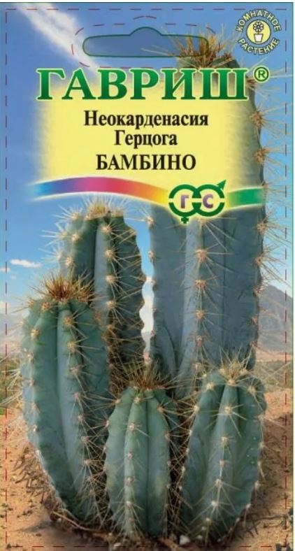 Кактусы_Неокарденасия Герцога Бамбино_5_шт._Гавриш