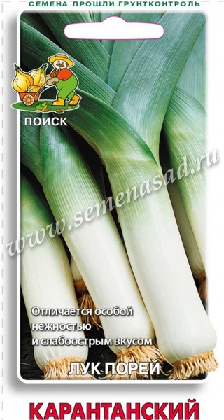 Лук_Карантанский (порей)_1_г._Поиск