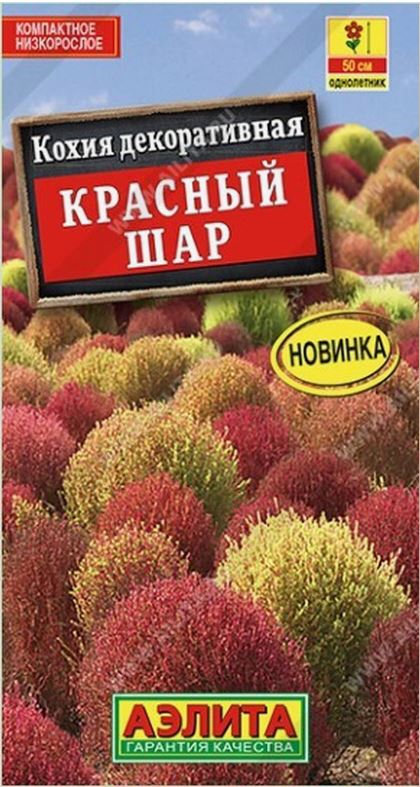 Кохия_Красный Шар_0,1_г._Аэлита