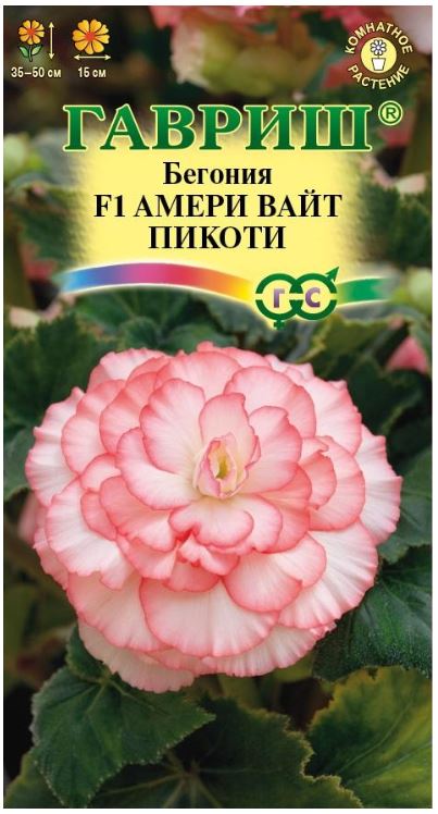 Бегония_Амери Вайт Пикоти F1 (клубн)_4_шт._Гавриш