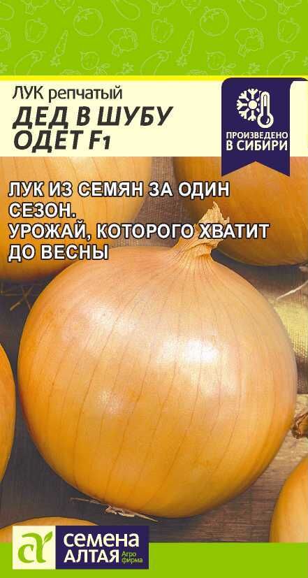 Лук_Дед в шубу одет (на репку)_0,2_г._Семена Алтая