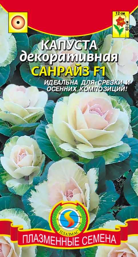 Капуста_декоративная_Санрайз F1_0,04_шт._Плазменные семена