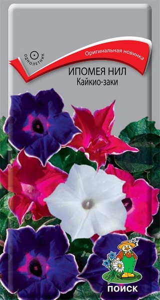 Ипомея_Нил Кайкио-заки_0,3_г._Поиск