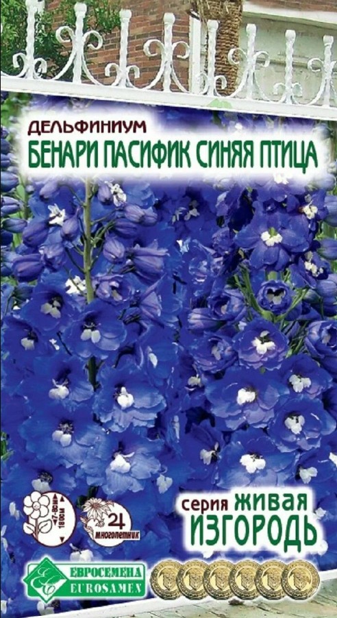 Дельфиниум_Бенари Пасифик Синяя Птица (Живая Изгородь)_10_шт._ЕВРОСЕМЕНА