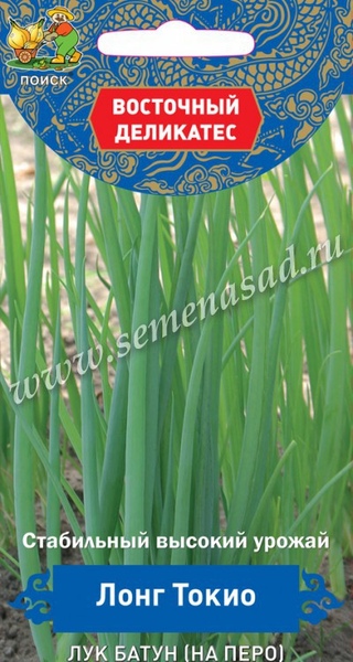 Лук_Лонг Токио (батун многолетний)_1_г._Поиск