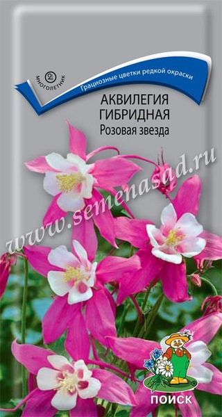 Аквилегия (водосбор)_Розовая Звезда_0,1_г._Поиск