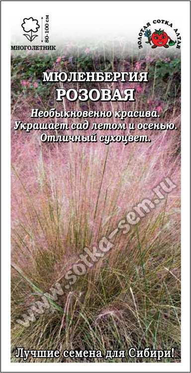 Мюленбергия_Розовая (злак)_5_шт._Золотая Сотка Алтая